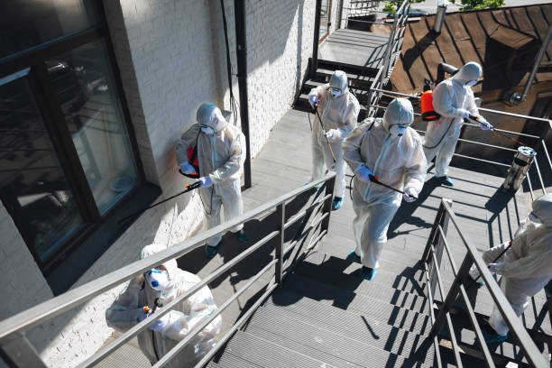 Best Commercial Mold Inspection  in Big Rapids, MI