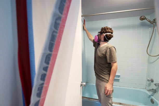 Best Residential Mold Inspection & Testing  in Big Rapids, MI