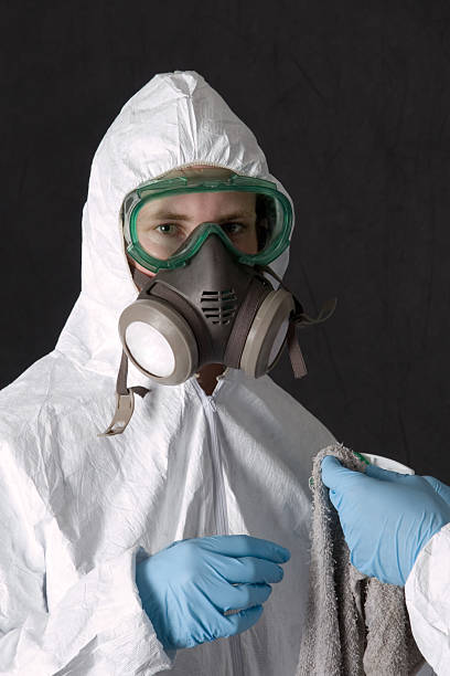  Big Rapids, MI Mold Removal Pros